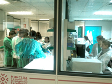 High participation in the activities of the CIE Moncloa within the XI Science Week